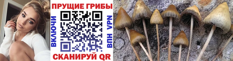 Псилоцибиновые грибы прущие грибы Емва